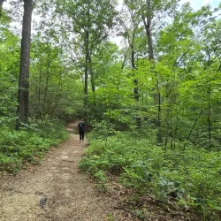 Cold Harbor Battlefield Park - Mechanicsville