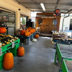 Mechanicsville Farmers Market - Mechanicsville