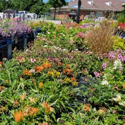 Mechanicsville Farmers Market - Mechanicsville