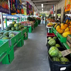 Mechanicsville Farmers Market - Mechanicsville