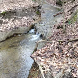 Mechanicsville Greenway Trail - Mechanicsville