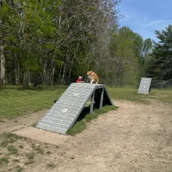 Pamunkey Creek Park - Mechanicsville