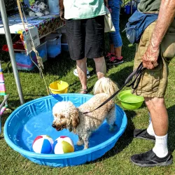 Pamunkey Creek Park - Mechanicsville