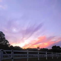 Pamunkey Creek Park - Mechanicsville