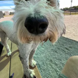 Clover Hill Park - Midlothian