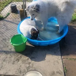 Clover Hill Park - Midlothian