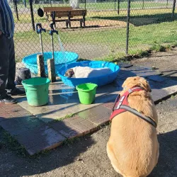 Clover Hill Park - Midlothian