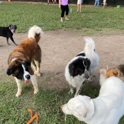 Clover Hill Park - Midlothian