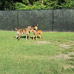 Clover Hill Park - Midlothian