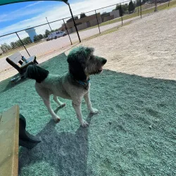 Clover Hill Park - Midlothian