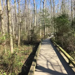 Midlothian Mines Park - Midlothian