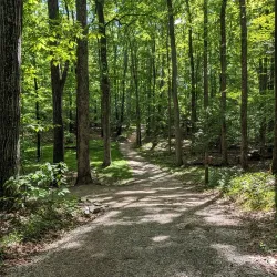 Pocahontas State Park - Midlothian