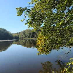 Pocahontas State Park - Midlothian