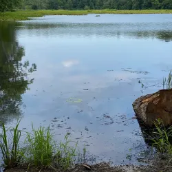 Pocahontas State Park - Midlothian