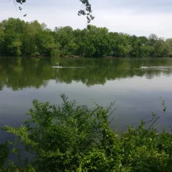 Robious Landing Park Trail - Midlothian