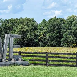 Chesapeake Bay Wine Trail - Montross