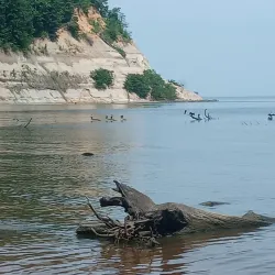 Northern Neck State Park - Montross