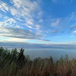 Northern Neck State Park - Montross