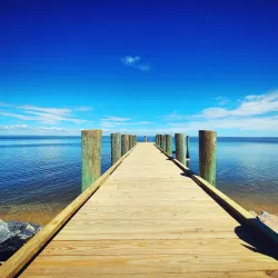 Northern Neck State Park - Montross