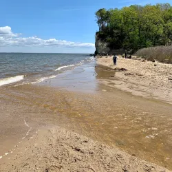 Westmoreland State Park - Montross