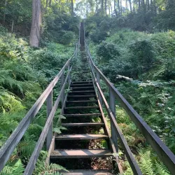 Westmoreland State Park - Montross