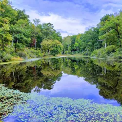 Westmoreland State Park - Montross