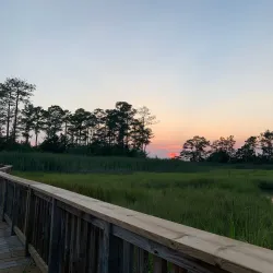 Denbigh Park - Newport News