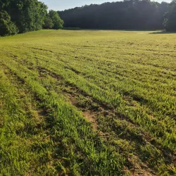 Endview Plantation - Newport News