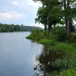 Newport News Park Marina - Newport News