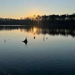 Newport News Park - Newport News