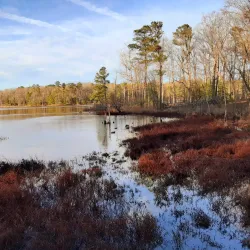 Newport News Park - Newport News