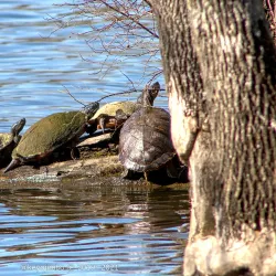Newport News Park - Newport News