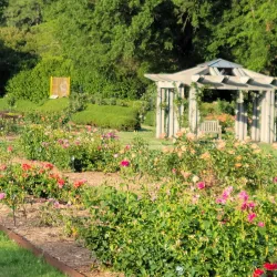 Norfolk Botanical Garden - Norfolk