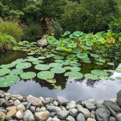 Norfolk Botanical Garden - Norfolk