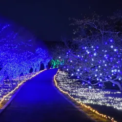 Norfolk Botanical Garden - Norfolk