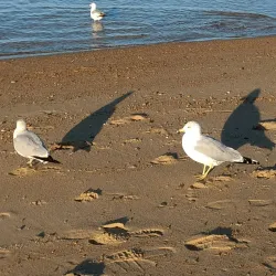 Ocean View Beach Park - Norfolk