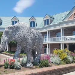Virginia Zoo - Norfolk