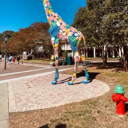 Virginia Zoo - Norfolk