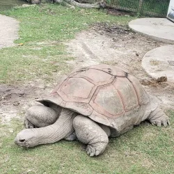 Virginia Zoo - Norfolk