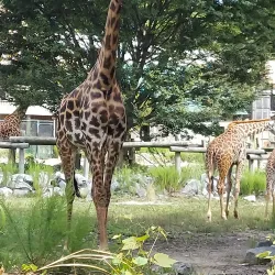 Virginia Zoo - Norfolk