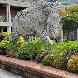 Virginia Zoo - Norfolk