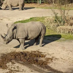 Virginia Zoo - Norfolk