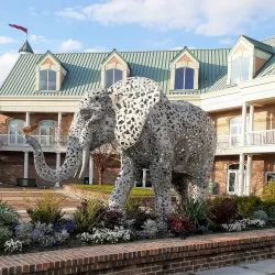 Virginia Zoo - Norfolk