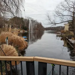 Lake Anne Plaza - Reston