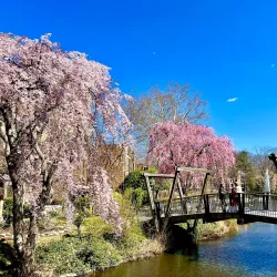 Lake Anne Plaza - Reston