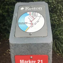 Lake Thoreau - Reston