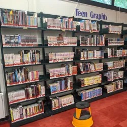 Reston Regional Library - Reston