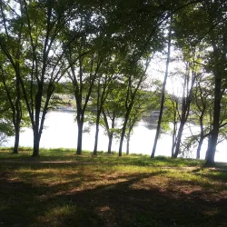 Reston Skate Park - Reston