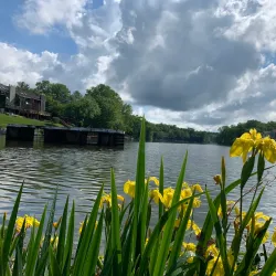 South Lakes Village Center - Reston