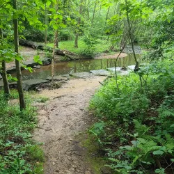 Walker Nature Center - Reston